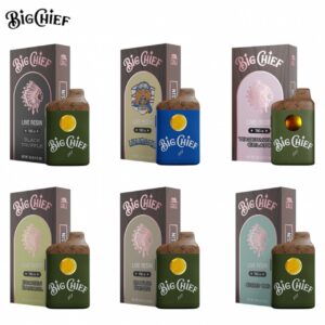 big chief disposable